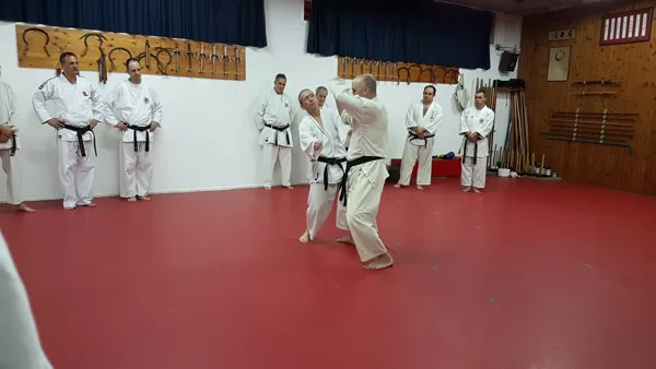 אימון בכירים - ינואר 2019